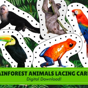 Carte di allacciatura animali della foresta pluviale / Download digitale / Ispirato a Montessori / Prescolare / Bambino piccolo