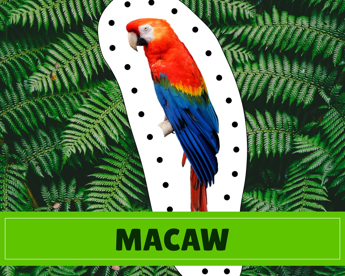 Rainforest Animal Lacing Cards Digital Download Montessori - Etsy
