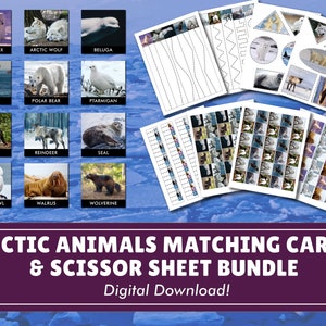 Può includere: Un set di carte di abbinamento di animali artici stampabili e fogli di pratica delle abilità con le forbici. Le carte presentano immagini di animali come un orso polare, una volpe artica e un tricheco. I fogli di forbici includono varie linee e forme da ritagliare.