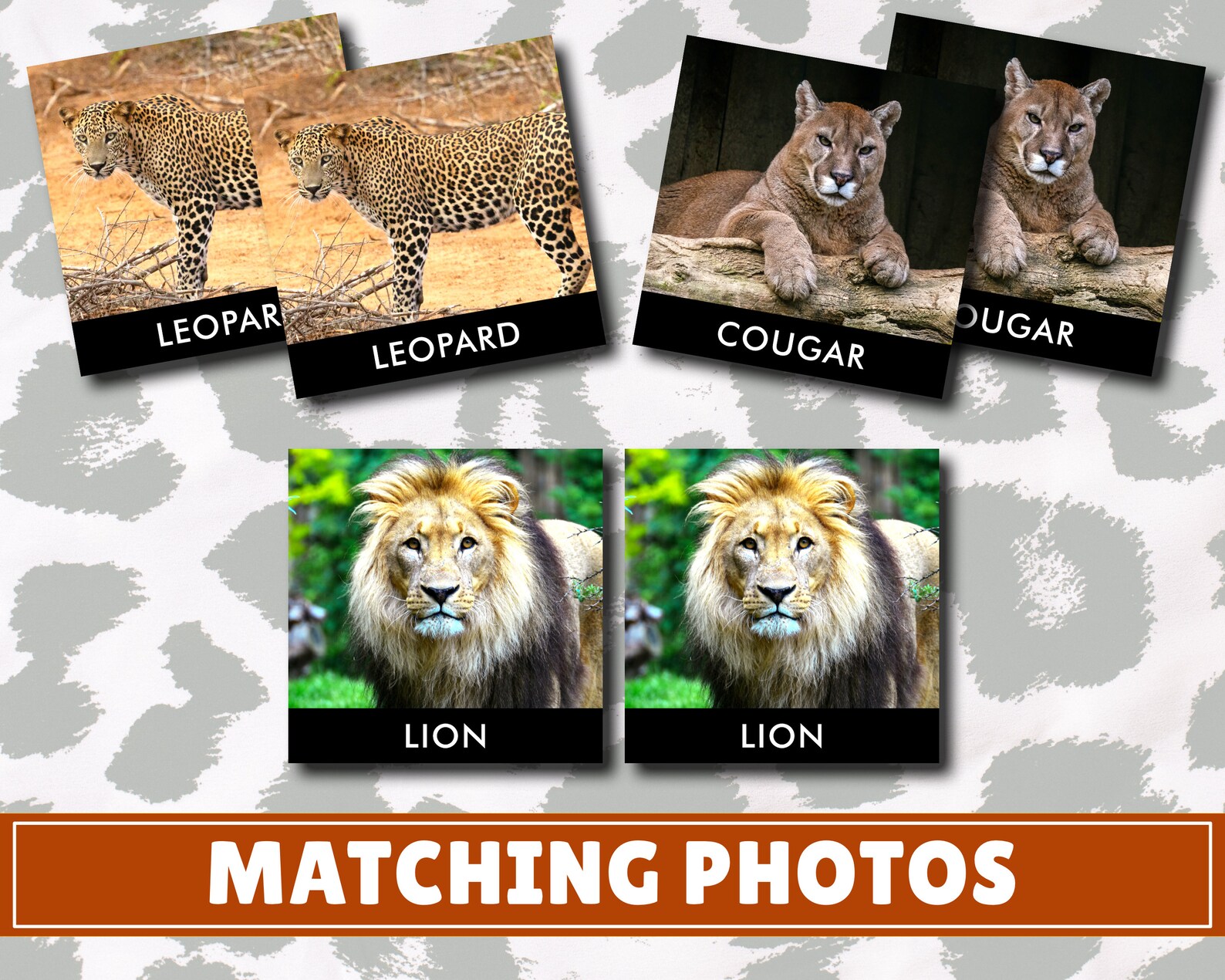 Cats Matching Cards | Digital Download | Montessori Inspired ...