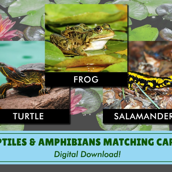 Cartes assorties de reptiles et d'amphibiens | Téléchargement numérique | Inspiré Montessori | École à la maison