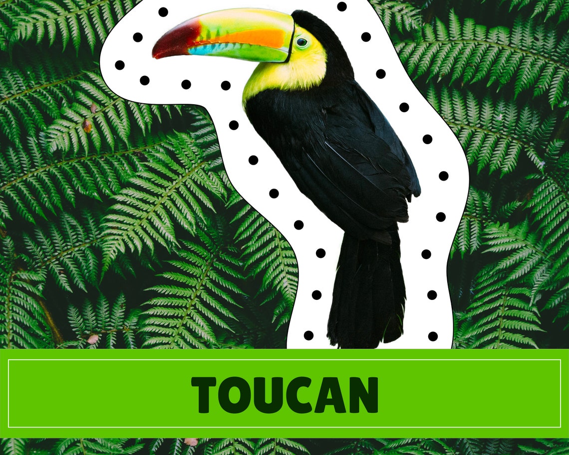 Rainforest Animal Lacing Cards | Digital Download | Montessori Inspired ...