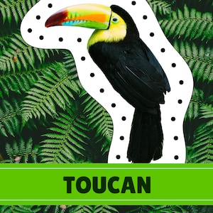 Rainforest Animal Lacing Cards | Digital Download | Montessori Inspired ...