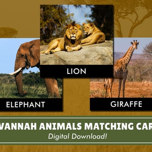 Puede incluir: Tres tarjetas imprimibles con imágenes de un león, un elefante y una jirafa. Las tarjetas están etiquetadas con el nombre del animal y forman parte de un conjunto de tarjetas de emparejamiento de animales de la sabana. ¡Descarga digital! está escrito en la parte inferior de la imagen.