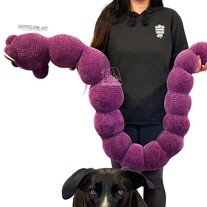 May include: A large, plush, purple dog toy shaped like a worm or caterpillar. The toy is held by a person, with a black and white dog in the foreground. The toy is made of a soft, textured material.