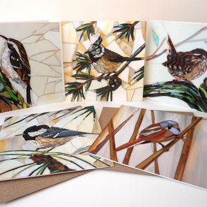 Set of 5 Bird Cards Wren, Tree Creeper, Crested, Bearded, Coal Tit Blank Greeting Cards Eco-Friendly Card Set Wildlife Card Pack image 5