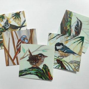 Set of 5 Bird Cards Wren, Tree Creeper, Crested, Bearded, Coal Tit Blank Greeting Cards Eco-Friendly Card Set Wildlife Card Pack image 4