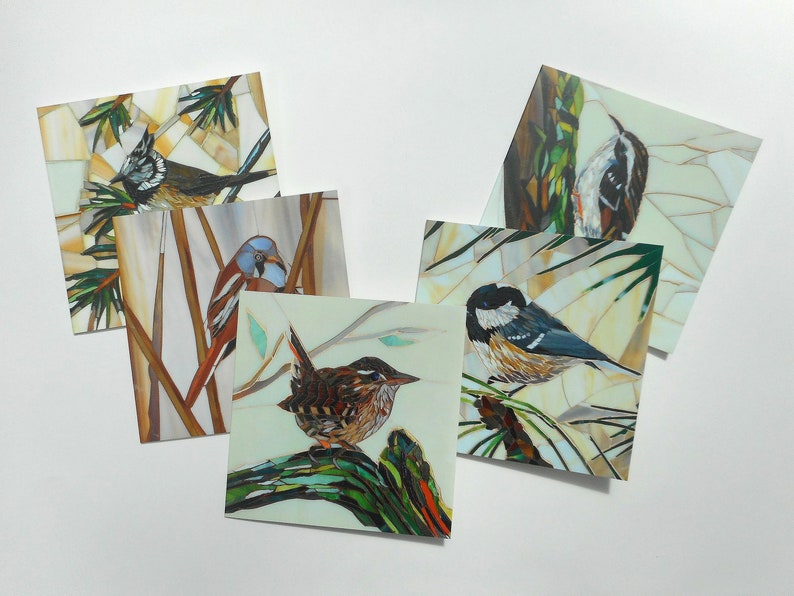 Set of 5 Bird Cards Wren, Tree Creeper, Crested, Bearded, Coal Tit Blank Greeting Cards Eco-Friendly Card Set Wildlife Card Pack image 4