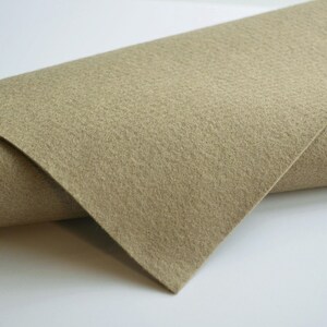 Toffee Color Fabric 
