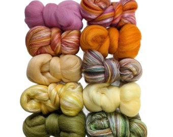 Gamme de couleurs de début de printemps, mèches de laine, paquet de 5 oz, mèches de laine pour feutrer du savon, filature de fibres, fournitures de feutrage à l'aiguille pour mèches de laine