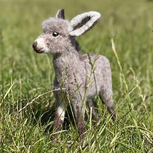 Diego Donkey Complete Needle Felting Kit, Intermediate Level