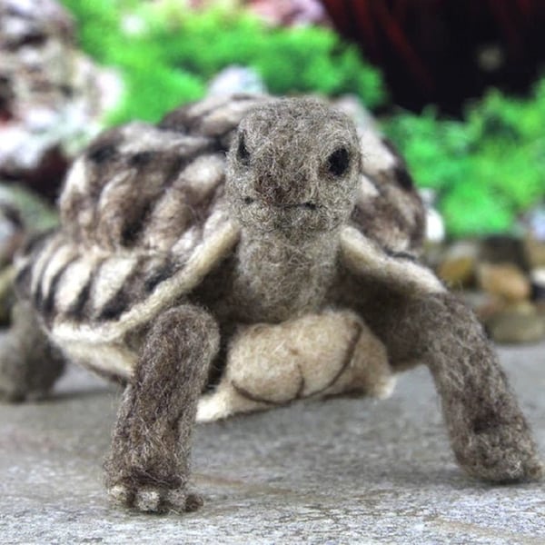 KIT *** TOTO the TORTOISE Needle Felting Kit, Needle Felted Turtle, Complete Felting Kit, Animal Needle Felting Kit, Needle Felting Supplies