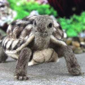 KIT *** TOTO the TORTOISE Needle Felting Kit, Needle Felted Turtle, Complete Felting Kit, Animal Needle Felting Kit, Needle Felting Supplies