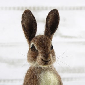 KIT ROMEO The RABBIT Needle Felting Kit, Needle Felted Rabbit, Complete Felting Kit, Animal Needle Felting Kit, Needle Felting Supplies image 5