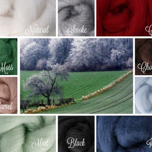 WINTER MINT Color Range, Wool Roving, 5 ozs. Pack, Wool Roving for Felting Soap, Spinning Fiber, Wool Roving for Needle Felting Supplies