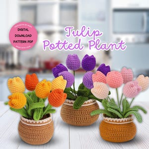 May include: Crocheted tulip potted plants in orange, yellow, purple, and pink. Each plant features multiple tulip blooms in a woven basket. The text reads "Tulip Potted Plant" and "Digital Download Pattern PDF".