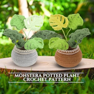 Peut inclure: Deux plantes Monstera en crochet dans des pots. La plante de gauche est dans un pot gris et la plante de droite est dans un pot brun. Les deux plantes ont des feuilles vertes avec des accents jaunes.