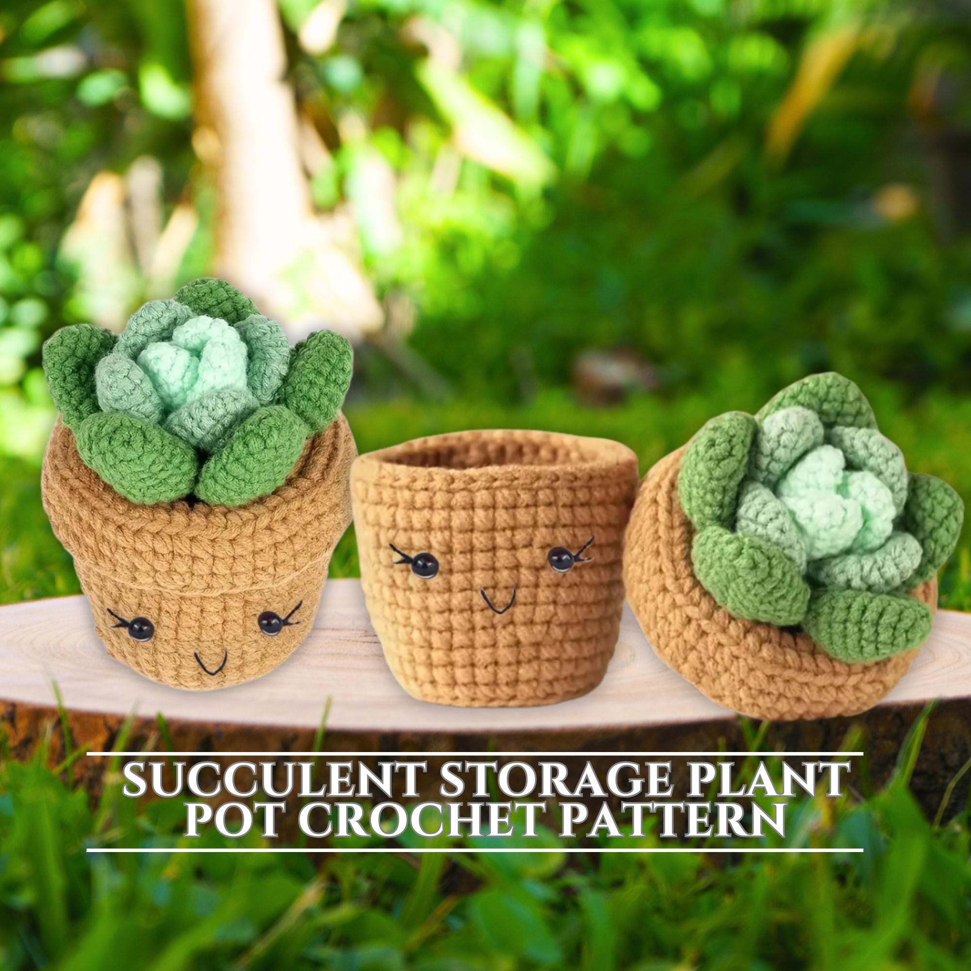 33 Succulent Crochet Patterns for Easy Indoor Garden Decor and Handmade Gifts 33 Succulent Storage Plant Pot Crochet Pattern Flower Pot