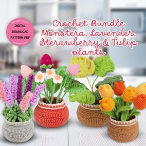 Pacchetto di modelli di piante all&#39;uncinetto: lavanda, monstera, fragola e tulipano, modelli PDF per piante in vaso amigurumi, decorazioni per la casa