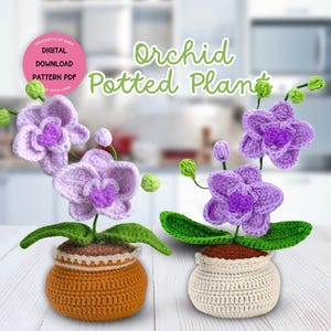 May include: Crocheted orchid potted plants in orange and white pots. The purple flowers have a detailed design with green leaves and buds. The image includes the text "Orchid Potted Plant" and a pink circle with text.