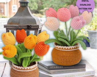 Pianta Grassa All'Uncinetto In Vaso: Simpatica Succulenta Fatta A Mano In Cotone Con Messaggio Incoraggiante. Regalo Emotivo Per Casa E Ufficio. - 4