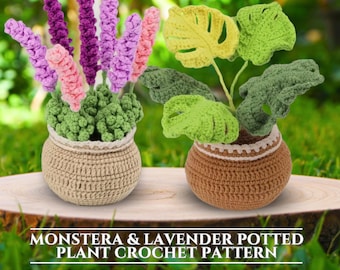 Mini Flower Pot Crochet Pattern Monstera&Lavender Bundle Set House Plants Crochet Pattern Potted Plant Crochet Monstera Pot Amigurumi Flower