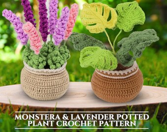Crochet Kit For Beginners - 8 Piece Hanging Potted Plants With Video Tutorials & Extra Yarn