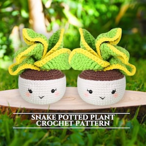 Snake Plant Crochet Pattern Potted Plant Crochet Succulent Crochet House Plants PDF Amigurumi Succulent Crochet House Plants Sansevieria