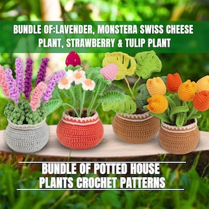 Pacchetto di modelli di piante all&#39;uncinetto: lavanda, monstera, fragola e tulipano, modelli PDF per piante in vaso amigurumi, decorazioni per la casa
