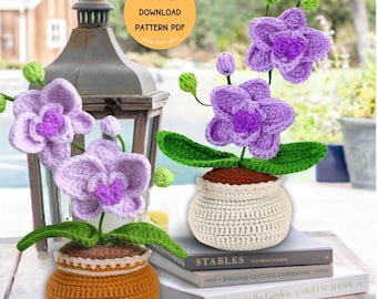 Orchid Crochet Pattern Mini Pot Amigurumi Flower Pot Crochet Home Decor Flowers Basket of Orchid DIY Flower Bouquet Designs