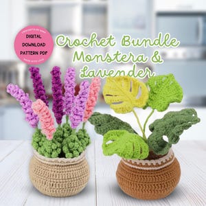 Mini Flower Pot Crochet Pattern Monstera & Lavender Bundle Set House Plants Crochet Pattern Potted Plant Crochet Monstera Amigurumi Flower
