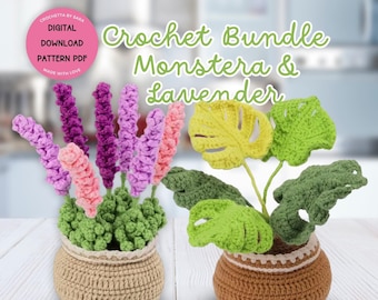 Mini Flower Pot Crochet Pattern Monstera & Lavender Bundle Set House Plants Crochet Pattern Potted Plant Crochet Monstera Amigurumi Flower
