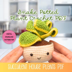 Snake Plant Crochet Pattern Potted Plant Crochet Succulent Crochet House Plants PDF Amigurumi Succulent Crochet House Plants Sansevieria