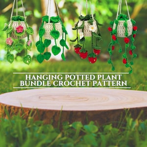 Haakpatroon hangende plantenbundel autohangmand plant, gehaakte hangende bloempot voor thuis Auto gehaakt patroon bloempotmand