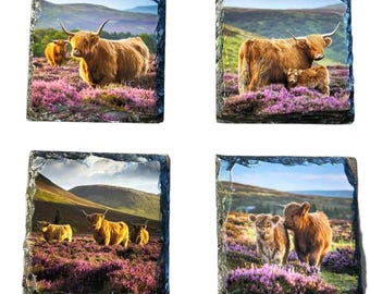 Slate Coaster Set Highland Cow With Heather  – Scottish Highlands Souvenir or Gift