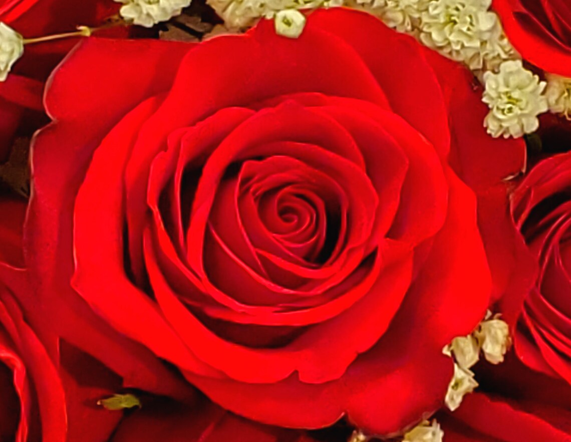 Pure Rose Perfume Oil Vegan Fragrance Scent Roll on Fresh Etsy