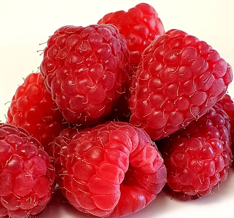Ripe Raspberry Perfume Oil, Fragrance Roll on Scent Vegan Fresh Berry ...