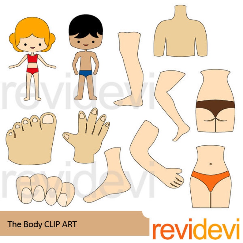 Body parts clip art bunde. The body, face, head. Anatomy clipart image 5