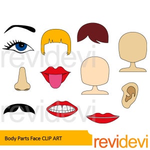 Body parts clip art bunde. The body, face, head. Anatomy clipart image 3