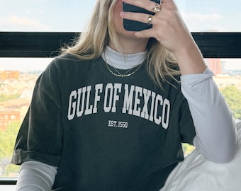 Gulf of Mexico Shirt, Anti Trump Subtle Comfort Colors Shirt, Mexico Beach Shirt, Liberal Texas Florida Beachful Gift, Eat the Rich Tee