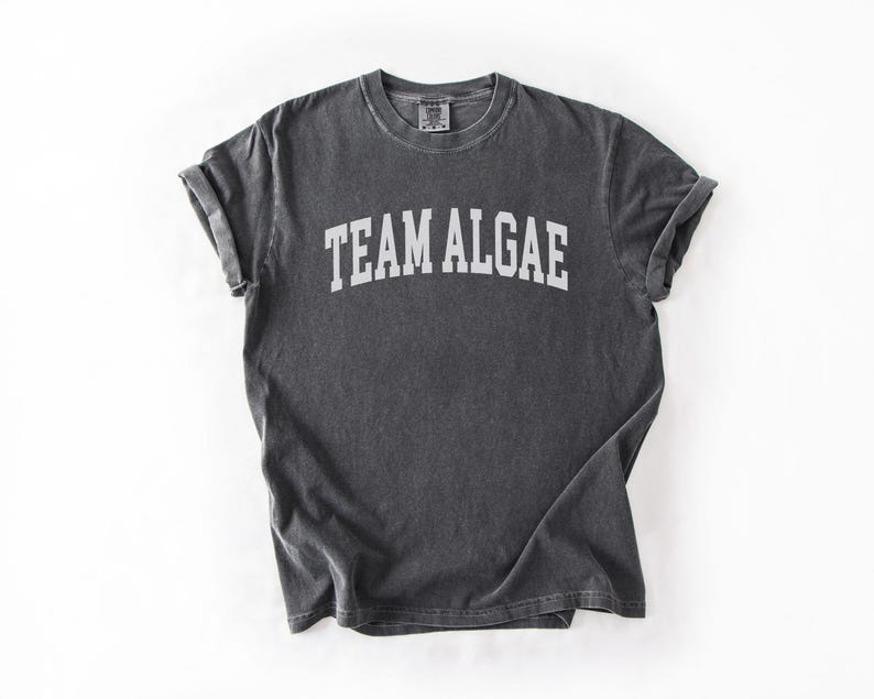 May include: A charcoal gray short-sleeve t-shirt with a crew neckline. The shirt features the text "TEAM ALGAE" printed in a white, arched, collegiate-style font across the chest. The fabric has a washed, vintage-inspired appearance.