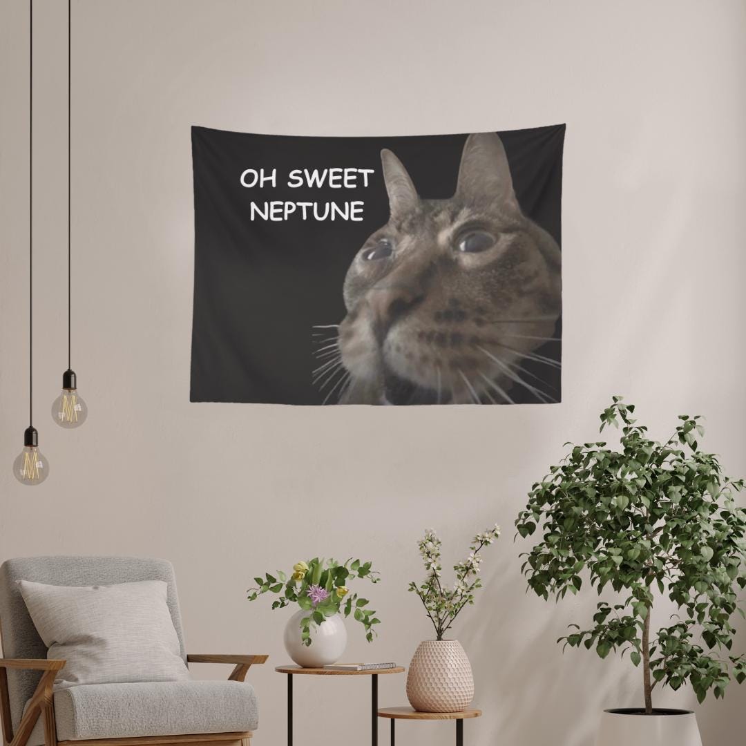 Funny Dorm Tapestry, Welcome to My Crib Cat Meme, Oh Sweet Neptune