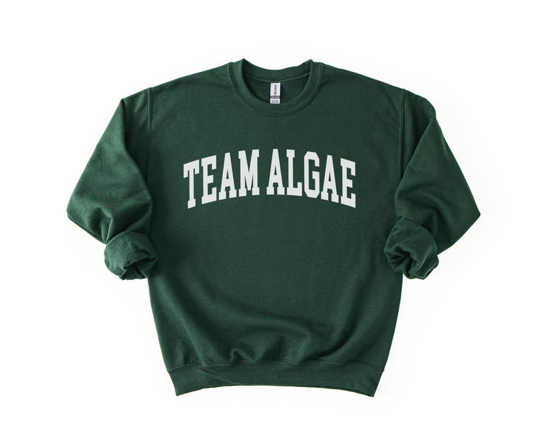 Team Algae Reflecting Pool Shirt, Anti Trump Merch, 8647, Fight Fascism, Abolish Ice, Eat The Rich, No Kings, DC Protest, 250th Anniversary image 19