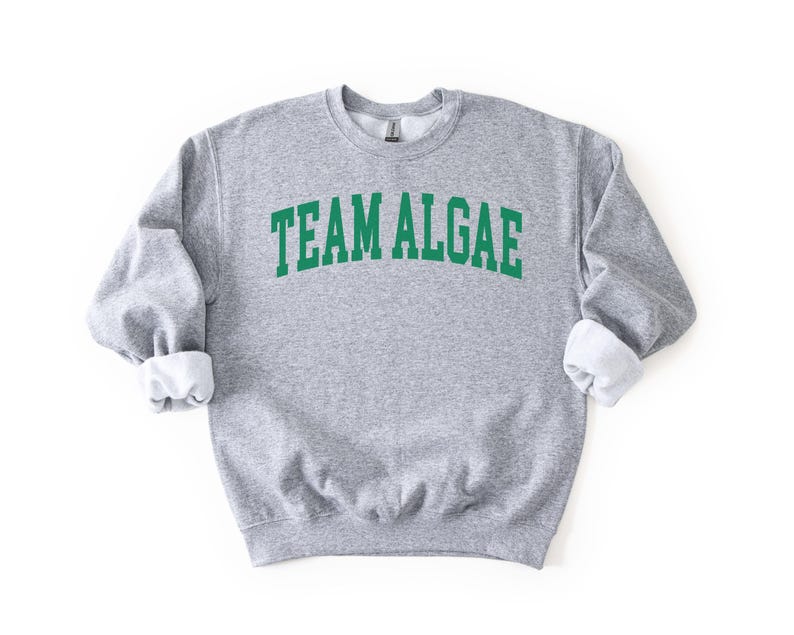 Team Algae Reflecting Pool Shirt, Anti Trump Merch, 8647, Fight Fascism, Abolish Ice, Eat The Rich, No Kings, DC Protest, 250th Anniversary image 17