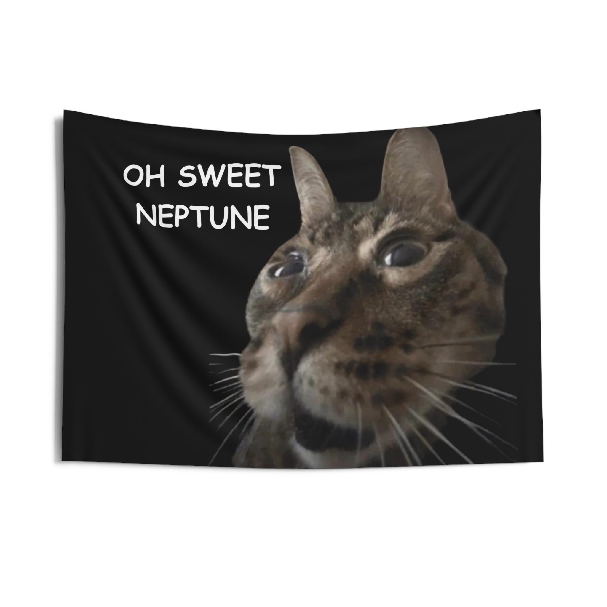 カーテン meme Funny Dorm Tapestry, Welcome to My Crib Cat Meme, Oh Sweet Neptune
