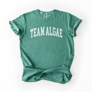May include: A short-sleeved, crew-neck t-shirt in a muted seafoam green color. The front of the shirt features the text "TEAM ALGAE" printed in a bold, white, arched, collegiate-style font across the chest area. The fabric has a slightly textured appearance.