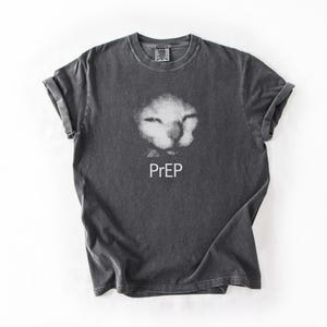 Funny PrEP Cat Dank Meme Gay Pride Shirt, Unhinged Cringe Offensive Humor Tee, Comfort Colors, Embarrassing Rude Dirty, Cursed Autism Tee
