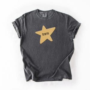Gold Star Trans, Comfort Colors Queer Shirt, LGBT Pride Tee, Genderfluid Nonbinary FTM MTF Lesbian, Unhinged Rude Dirty, Weirdcore Rave