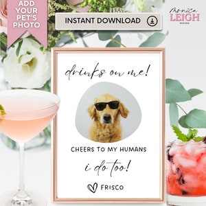 Op de afbeelding: Afdrukbaar bord met een golden retriever die een zonnebril draagt en de tekst "drinks on me!"  "Cheers to my humans I do too!"  "Frisco"