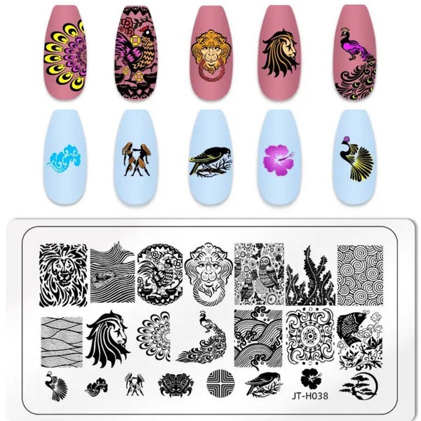 Chinese Lion Nail Stamping Template Plate Manicure Polish Designs